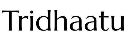 Tridhaatu Morya Logo